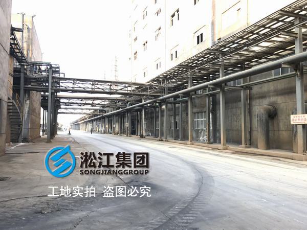 內(nèi)襯四氟異徑橡膠接頭在金星鈦白化工廠使用情況