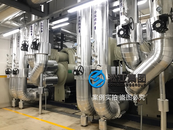 TRANE特靈冷水機(jī)組橡膠接頭現(xiàn)場(chǎng) TRANE特靈冷水機(jī)組橡膠接頭現(xiàn)場(chǎng)
